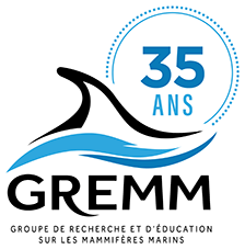 GREMM - Groupe de recherche et d'éducation sur les mammifères marins